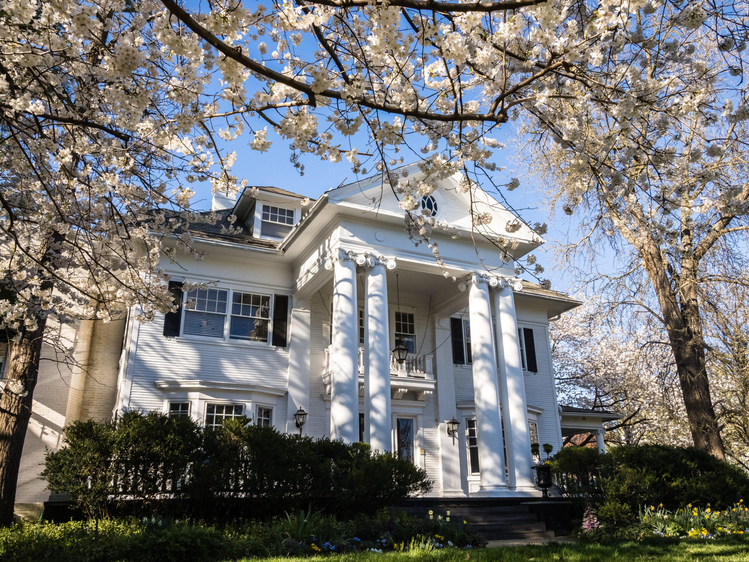 Adams House in Spring