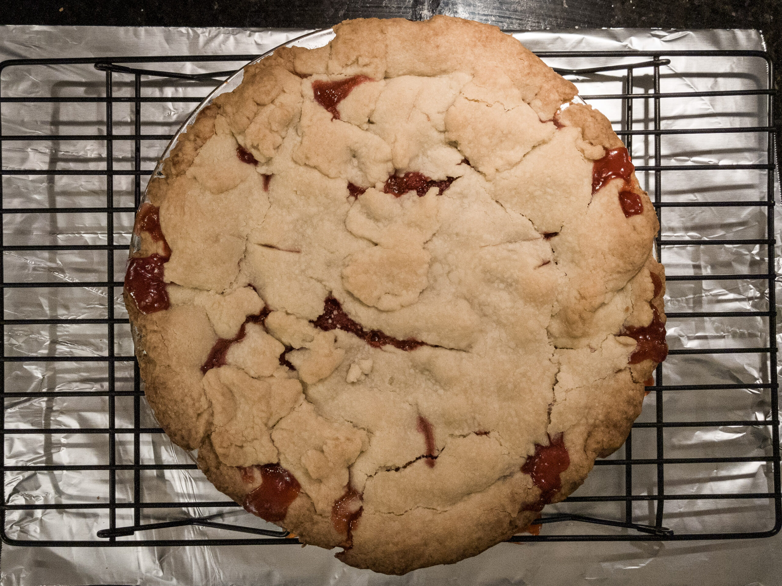 Rhubarb Pie